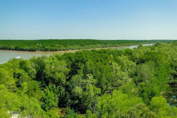 From Ho Chi Minh City: Monkey Island Excursion by Boat - Common Questions