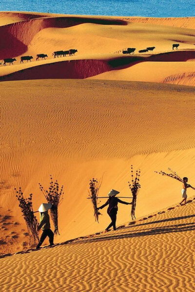 From Ho Chi Minh City: Mui Ne Beach - A Beautiful Beach - Tips for Travelers