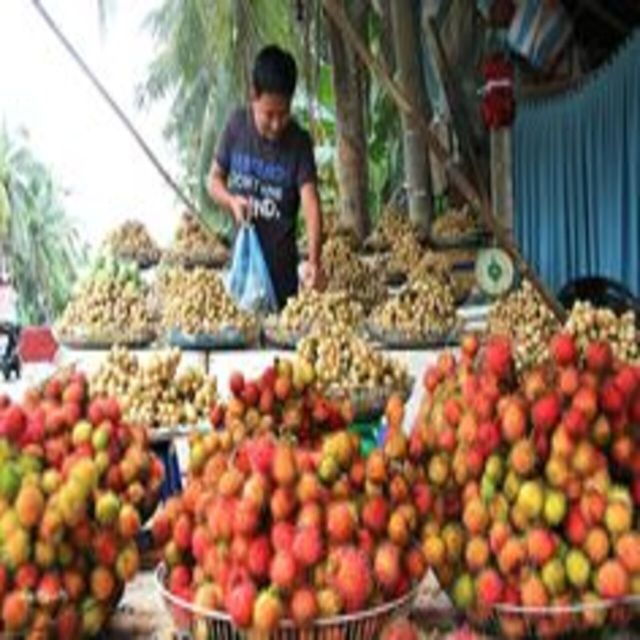 From Ho Chi Minh City: Non-Touristy Mekong Delta With Biking - Activity Details and Highlights