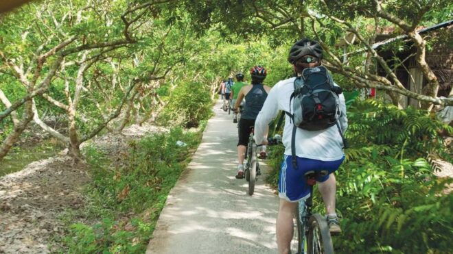 From Ho Chi Minh City: Non-Touristy Mekong Delta With Biking - Select Participants, Date, and Language