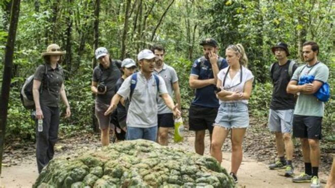From Ho Chi Minh: Cu Chi Tunnels Day Trip With Small Group - Tour Highlights
