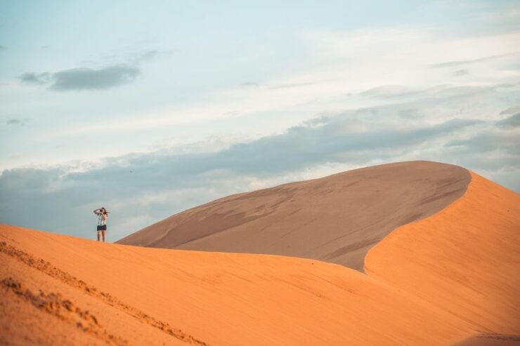 From Ho Chi Minh: Day Trip to Mui Ne by Private Car - Highlights and Experiences