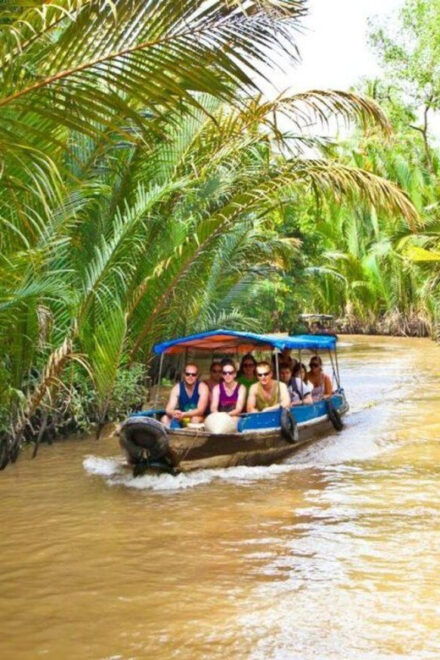 From Ho Chi Minh: Delta Full-Day Tour - Important Information