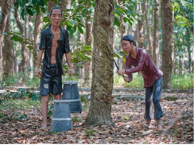 From Ho Chi Minh: Long Tan Nui Dat Battle Field Private Tour - Inclusions and Exclusions