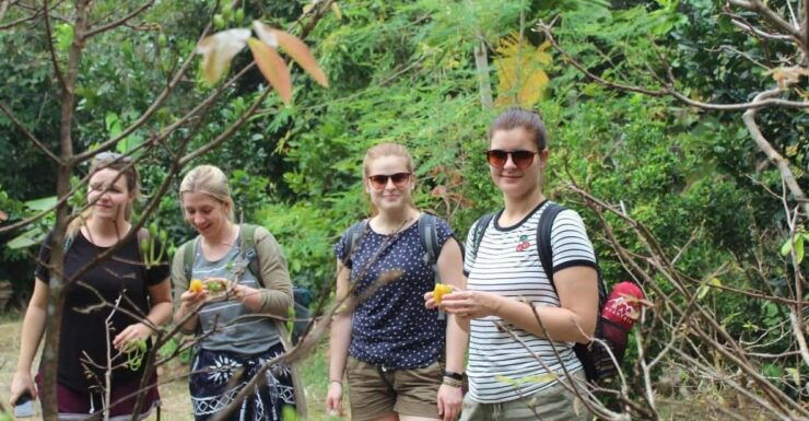 From Ho Chi Minh: Mekong Delta 2 Days Group or Private - Good To Know