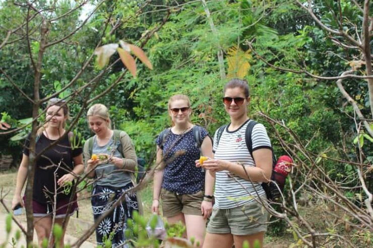 From Ho Chi Minh: Mekong Delta 2 Days Group or Private - Itinerary Details