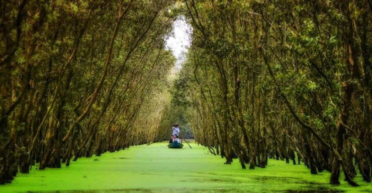 From Ho Chi Minh: Mekong Delta 3 Days 2 Nights - Day 1: Explore Can Tho City