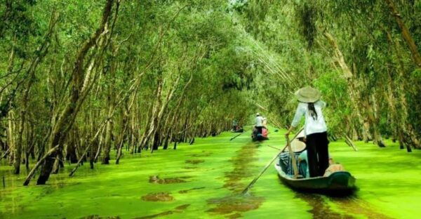 From Ho Chi Minh: Mekong Delta 3 Days 2 Nights - Optional Destinations and Transfers
