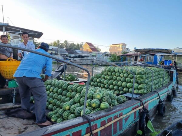 From Ho Chi Minh: Mekong Delta 3 Days and Cai Rang Floating - Customer Experiences