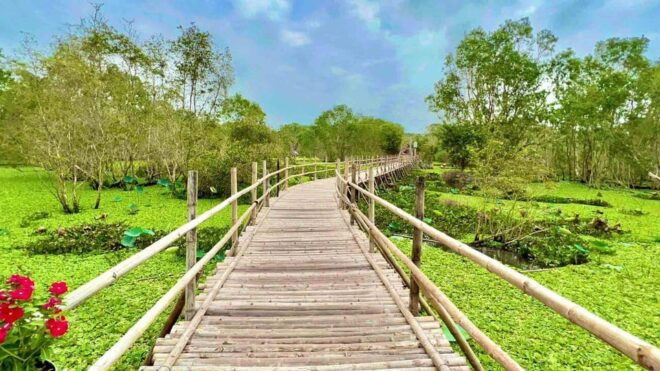 From Ho Chi Minh: Mekong Delta and Tra Su Forest 3D2N Tour - Day 2 Itinerary