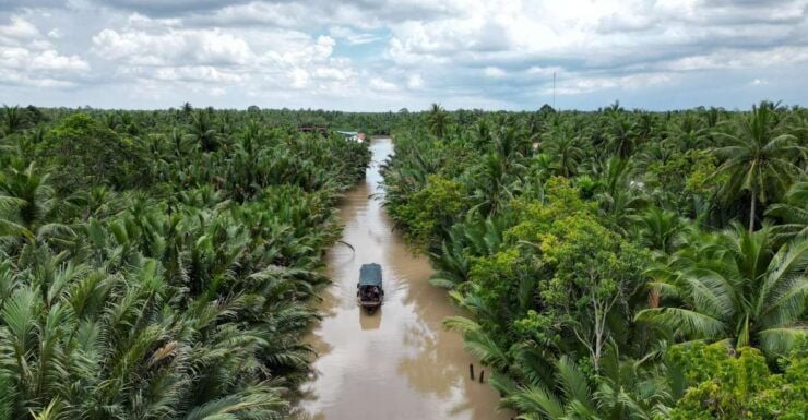 From Ho Chi Minh: Mekong Delta Customized Private Tour - Booking and Logistics