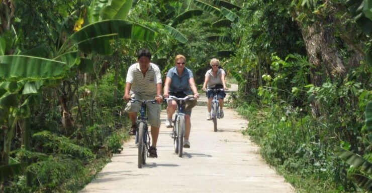 From Ho Chi Minh: Mekong Delta, My Tho & Ben Tre Day Trip - Activity Details