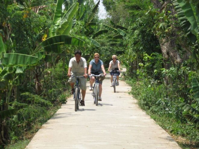 From Ho Chi Minh: Mekong Delta, My Tho & Ben Tre Day Trip - Full Description