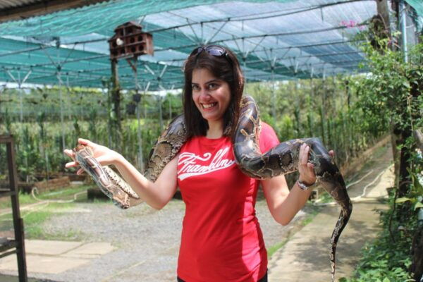 From Ho Chi Minh: Mekong Delta Private Day Tour - Scenic Cruise Along the Mekong River