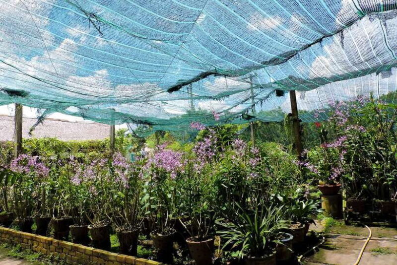 From Ho Chi Minh: Mekong Delta Tour with Cooking Class - FAQ