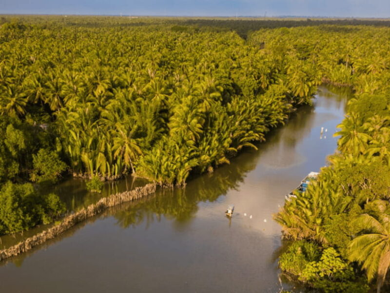 From Ho Chi Minh: My Tho Ben Tre Mekong with Lunch - Visiting Local Families & Cultural Experiences