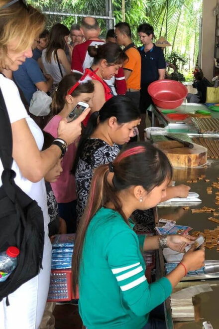 FROM HO CHI MINH: OVERVIEW MEKONG DELTA 1 DAY - Included Services