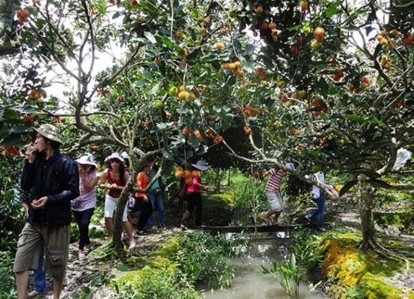 FROM HO CHI MINH: OVERVIEW MEKONG DELTA 1 DAY - Best Time to Visit