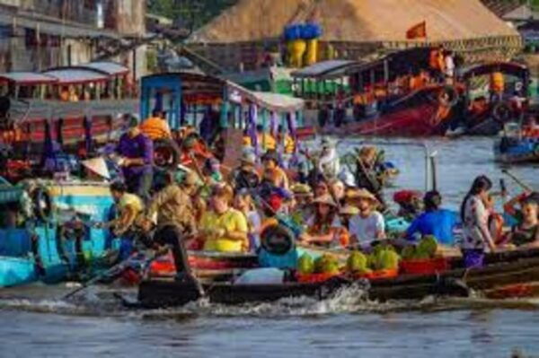 From Ho Chi Minh: Private Cai Rang Floating Market - Inclusions and Logistics