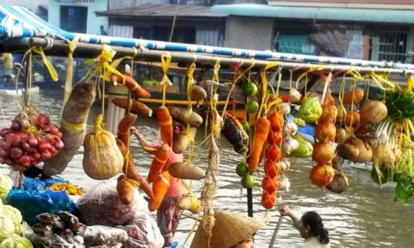 From Ho Chi Minh: Private Cai Rang Floating Market - Tips for Travelers