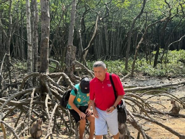 From Ho Chi Minh: Private Can Gio Mangrove Forest Tour - Pricing and Booking Options