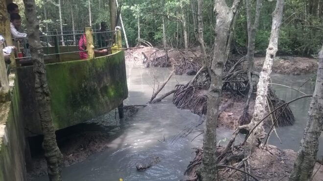 From Ho Chi Minh: Private Can Gio-Vam Sat Mangrove Forest - Inclusions and Amenities