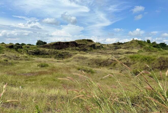 From Ho Chi Minh: Private Long Tan Nui Dat Battle Field - Customer Experience