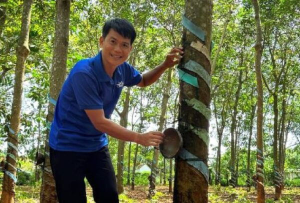 From Ho Chi Minh: Private Long Tan Nui Dat Battle Field - Historical Significance