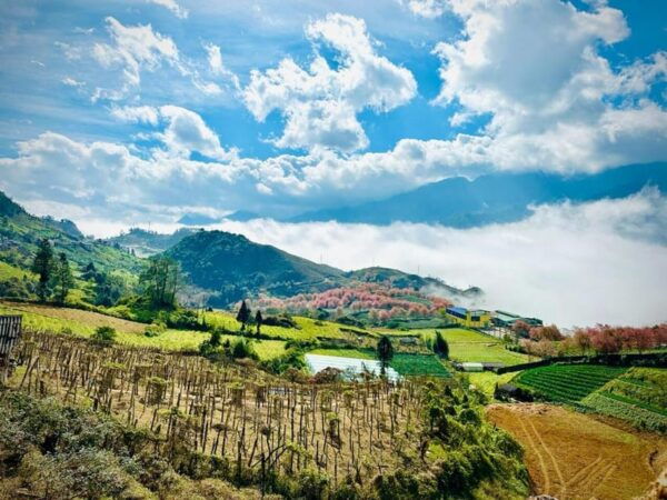 From Ho Chi Minh: Sapa Tour 2 Days 1 Night Tour - Experience Highlights