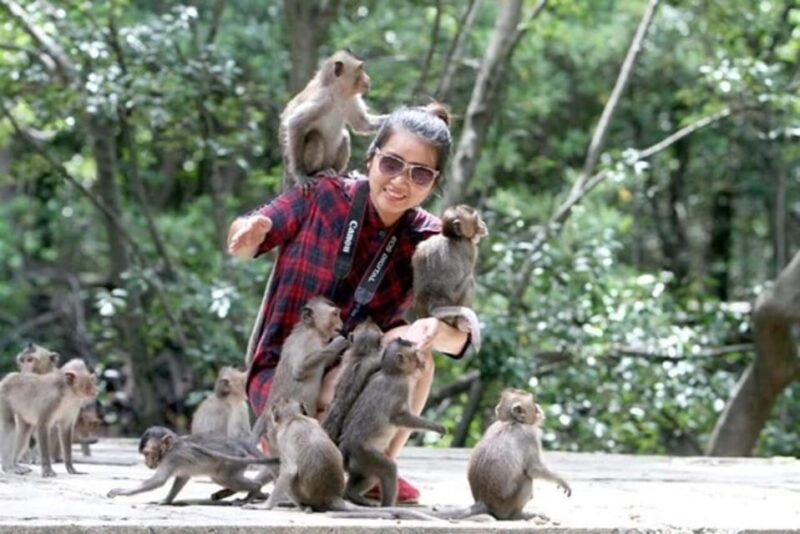 From Ho Chi Minh: Trek Can Gio Mangrove, Monkey Island - Itinerary and Activities