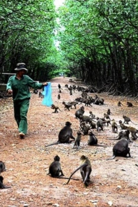 From Ho Chi Minh: Trek Can Gio Mangrove, Monkey Island - Customer Reviews
