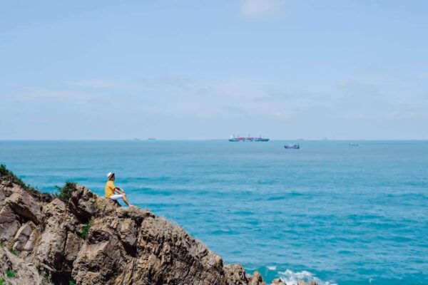 From Ho Chi Minh: Vung Tau Beach Tour - Inclusions and Exclusions