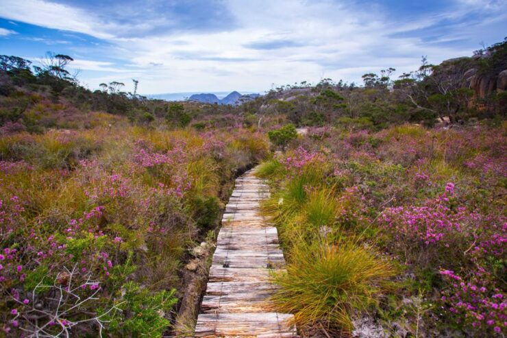 From Hobart: 4-Day Guided Freycinet National Park Walk - Activity Details