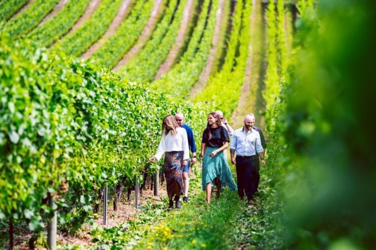 From Hobart: Full-Day Wine, Cider, Beer, and Whiskey Tour - Activity Details