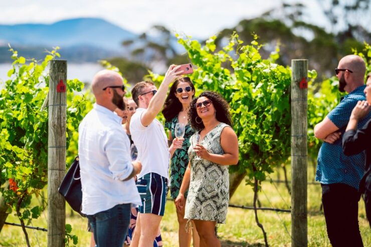 From Hobart: Full-Day Wine, Cider, Beer, and Whiskey Tour - Experience Highlights