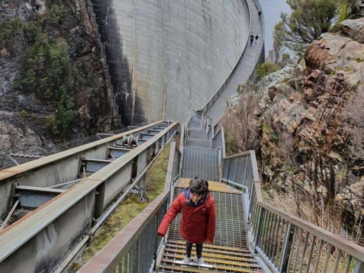 From Hobart: Lake Pedder, Gordon Dam Small Group Day Tour - Tour Details