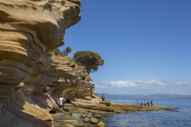 From Hobart: Maria Island National Park Active Full-Day Tour - Booking Information