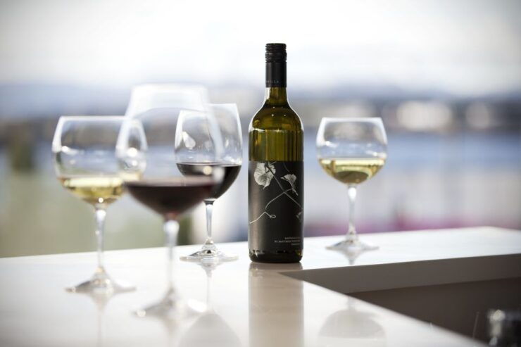 From Hobart: Moorilla's Wine Mona Art Day Tour - Experience Highlights
