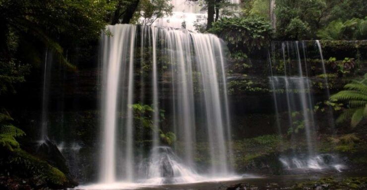 From Hobart: Mt. Field, Mt. Wellington and Bonorong Tour - Activity Details