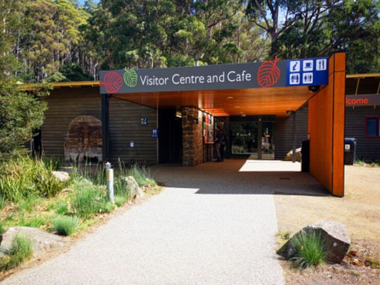 From Hobart: Mt. Field National Park and Russell Falls - Booking Details