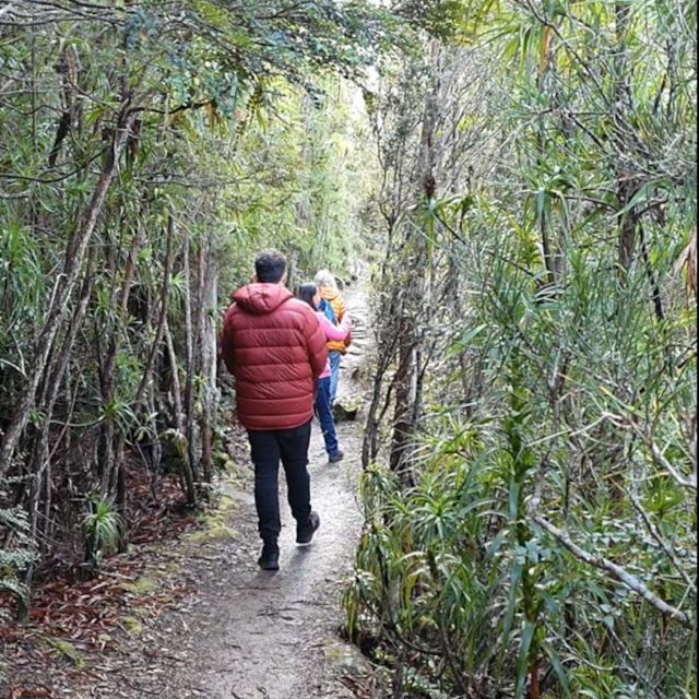 From Hobart: Mt Wellington Arrival and Organ Pipes Walk Tour - Tour Description