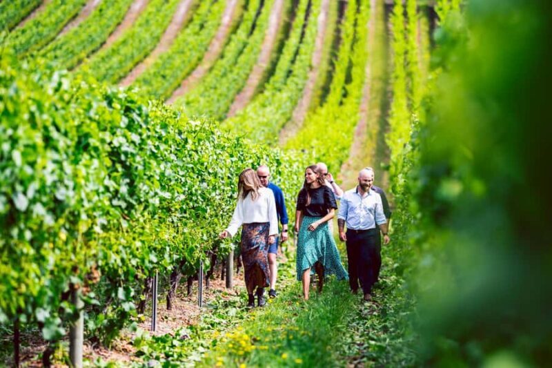 From Hobart: Tasmanian Wine Tour - A Deep Dive into the Tour