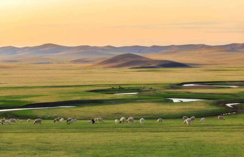 From Hohhot: 8-Day Inner Mongolia Private Tour to Ordos - Who Will Love This Tour?