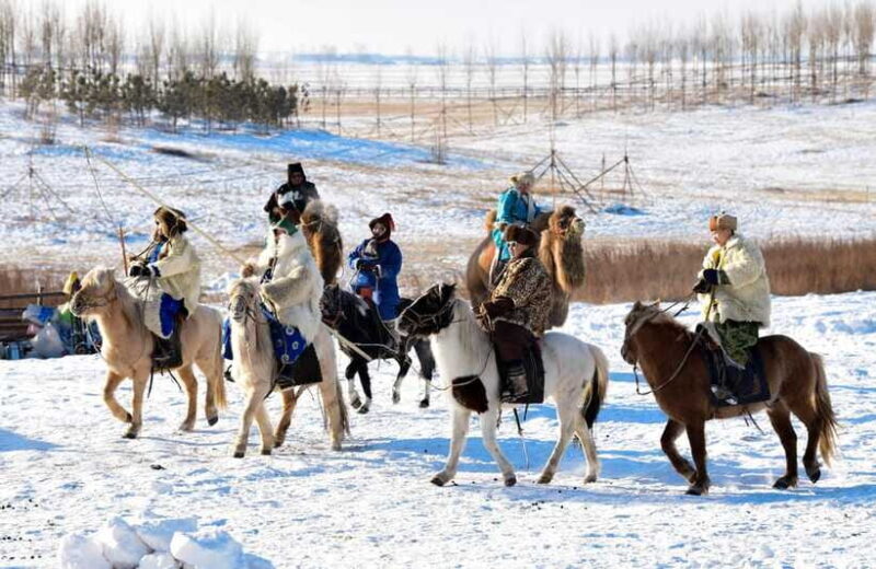From Hohhot: 8-Day Inner Mongolia Private Tour to Ordos - Frequently Asked Questions (FAQs)