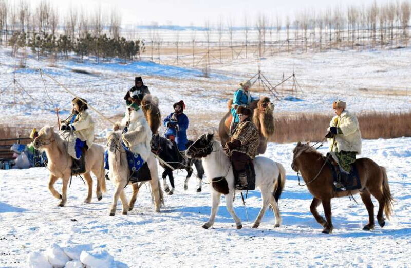 From Hohhot: 8-Day Inner Mongolia Private Tour to Ordos - Good To Know