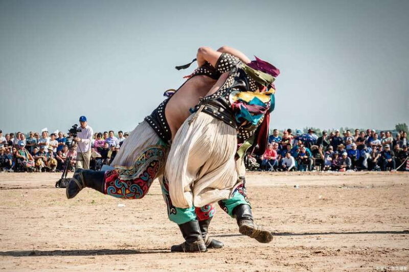 From Hohhot: 8-Day Inner Mongolia Private Tour to Ordos - An In-Depth Look at the Itinerary