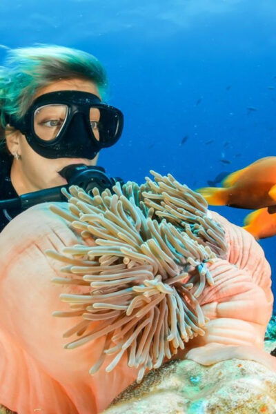 From Hoi An/Da Nang: Amazing Cham Island Snorkeling Tour - Booking Details