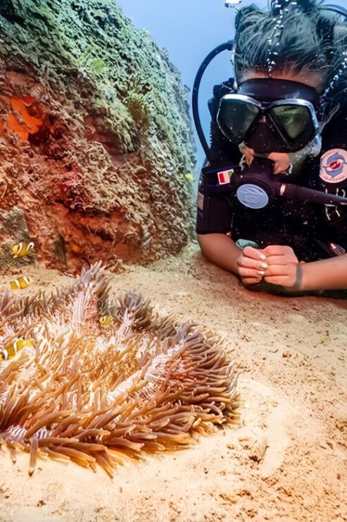 From Hoi An/ Da Nang: Swimming & Snorkeling In Cham Islands - Good To Know