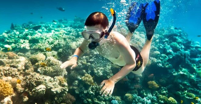 From Hoi An/ Da Nang: Swimming & Snorkeling In Cham Islands - Itinerary