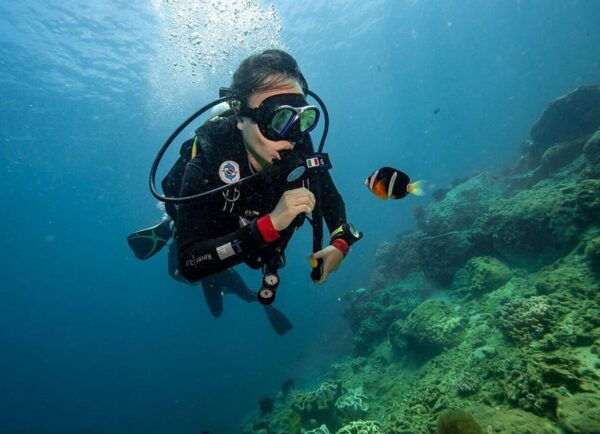 From Hoi An/ Da Nang: Swimming & Snorkeling In Cham Islands - Frequently Asked Questions